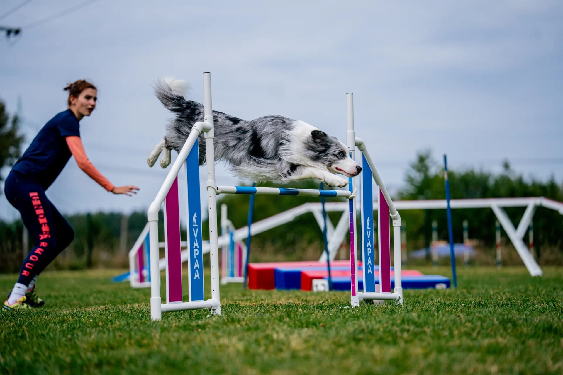 Pes a psovodka při překonávání překážky na agility